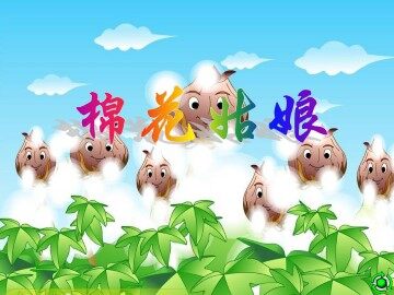 棉花姑娘_课件1