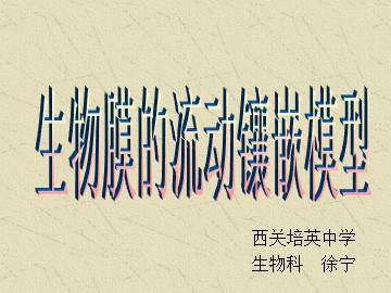 生物高中必修1第四章第二节课件4