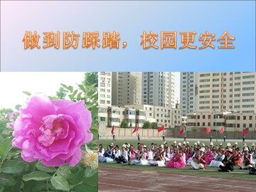 1.1.1 丰富多彩的信息