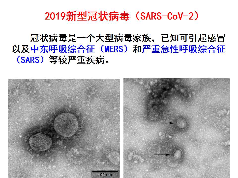 微生物的实验室培养