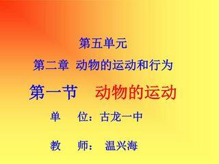 动物与运动