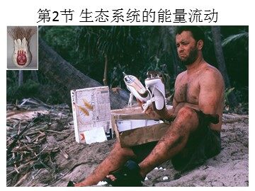 生物高中必修3第五章第二节第一课时课件