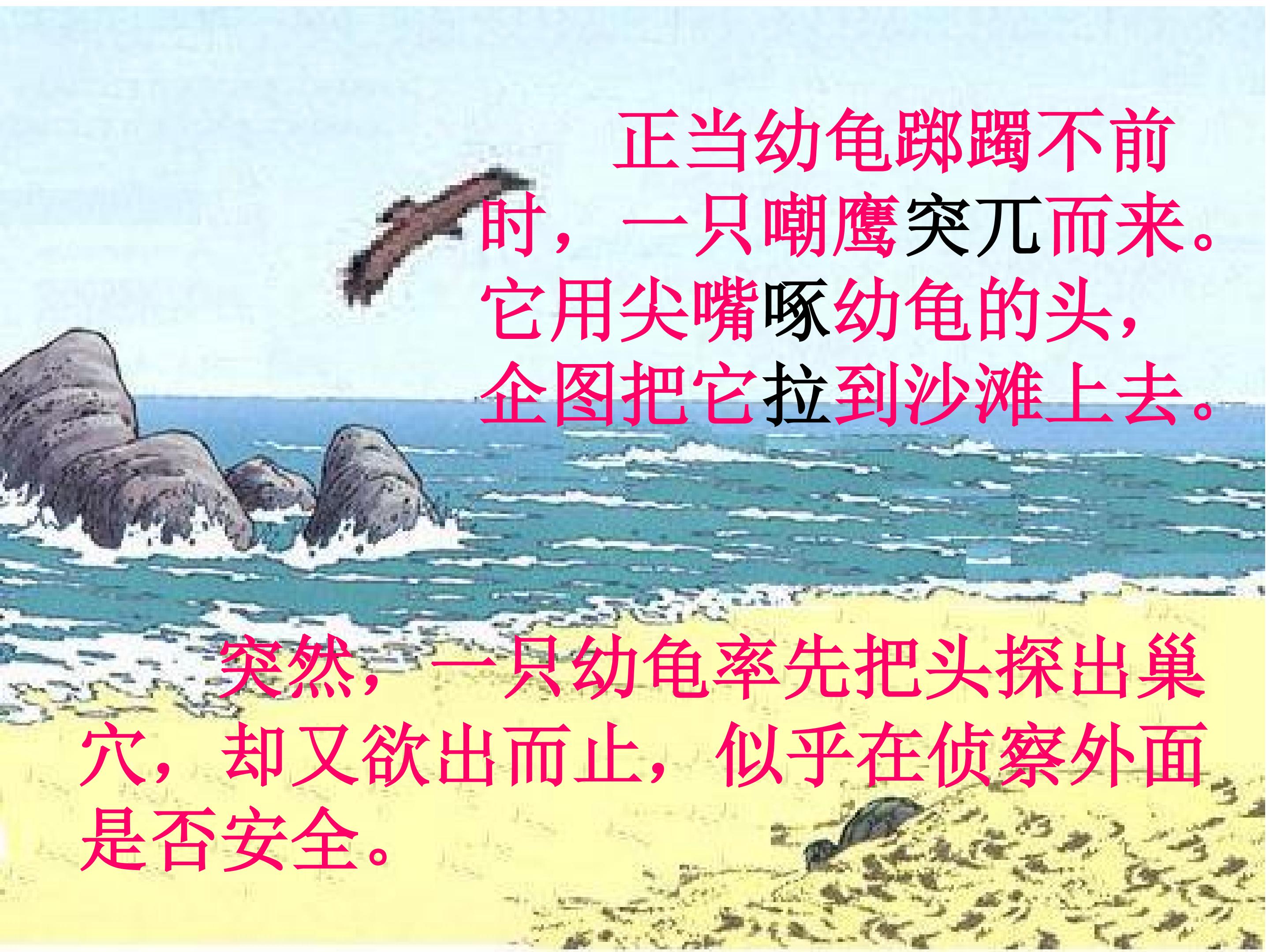 18.jpg