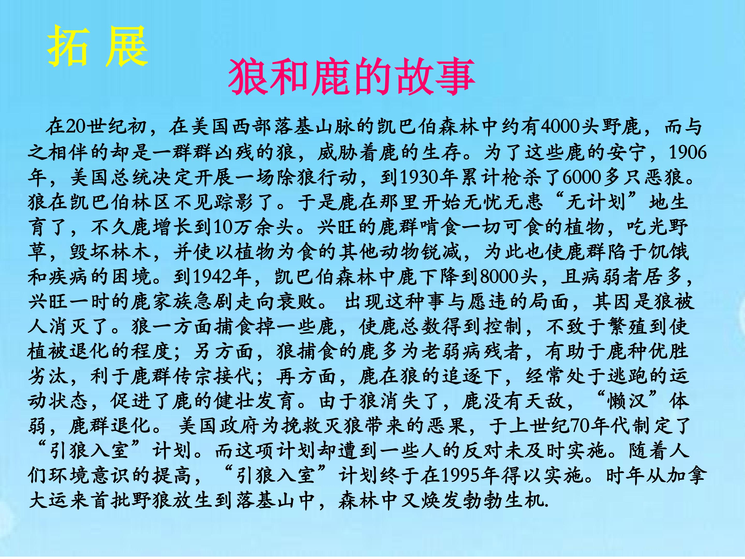 42.jpg