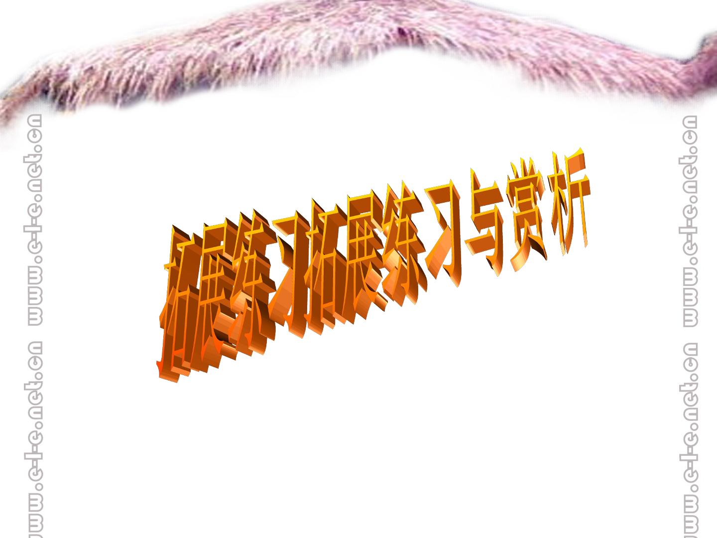 48.jpg