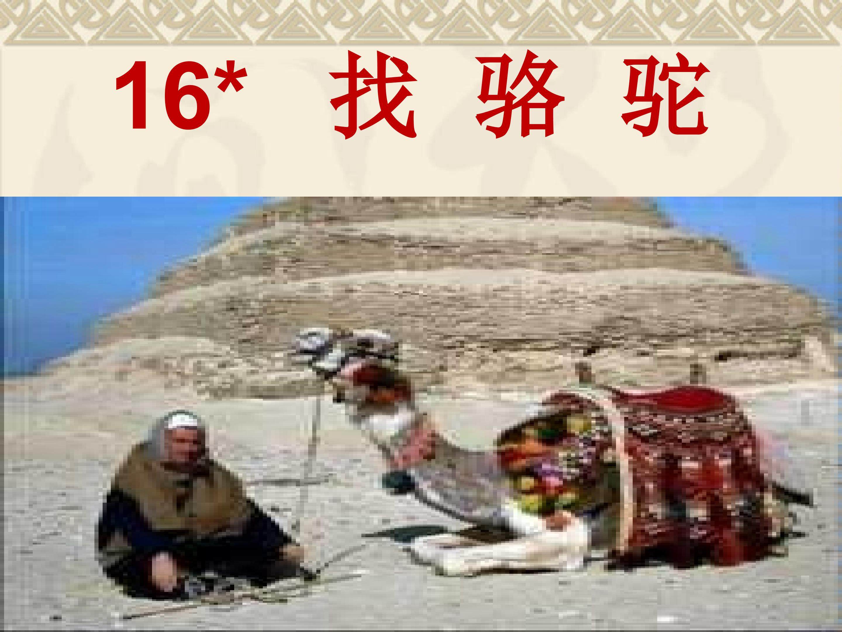 找骆驼