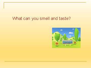 What can you smell and taste?_课件1
