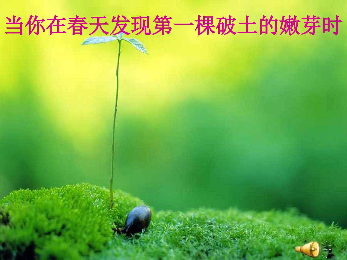 囚绿记