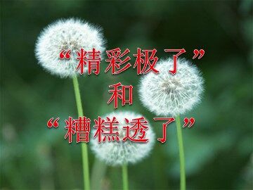19 “精彩极了”和“糟糕透了”