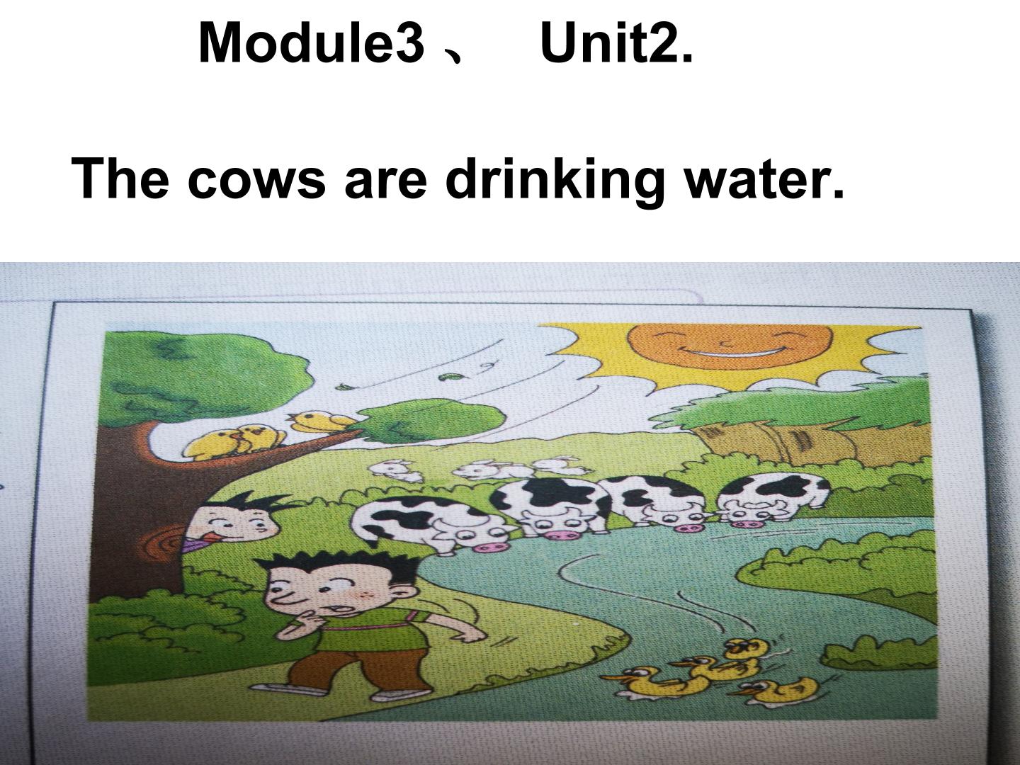 Module3Unit2The cows are drinking water