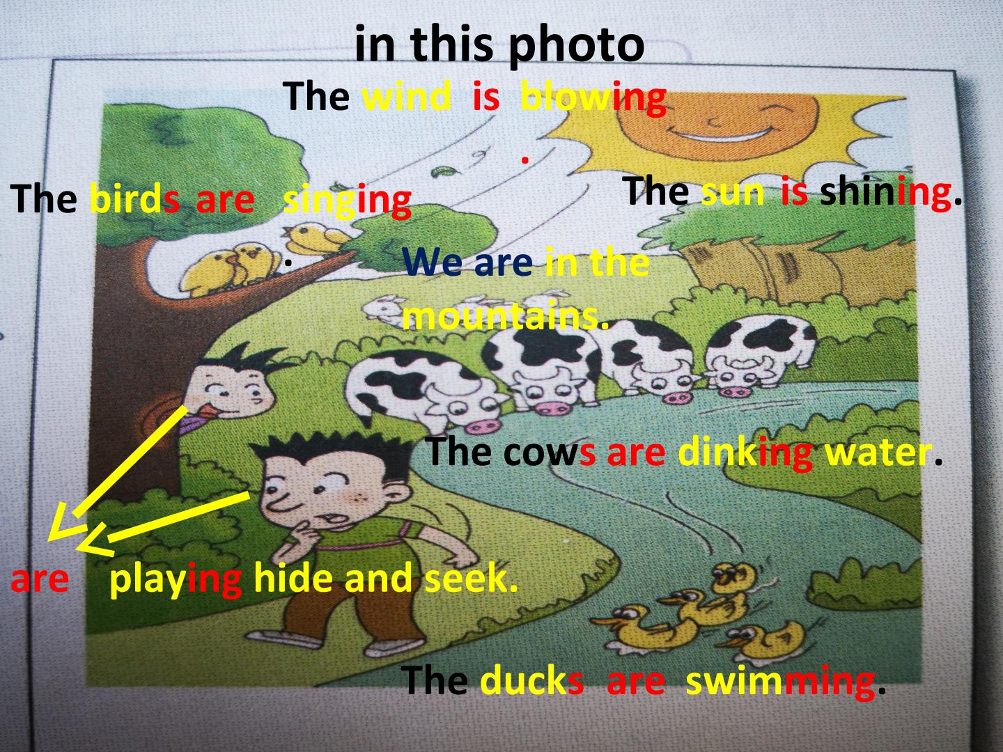 12.jpg