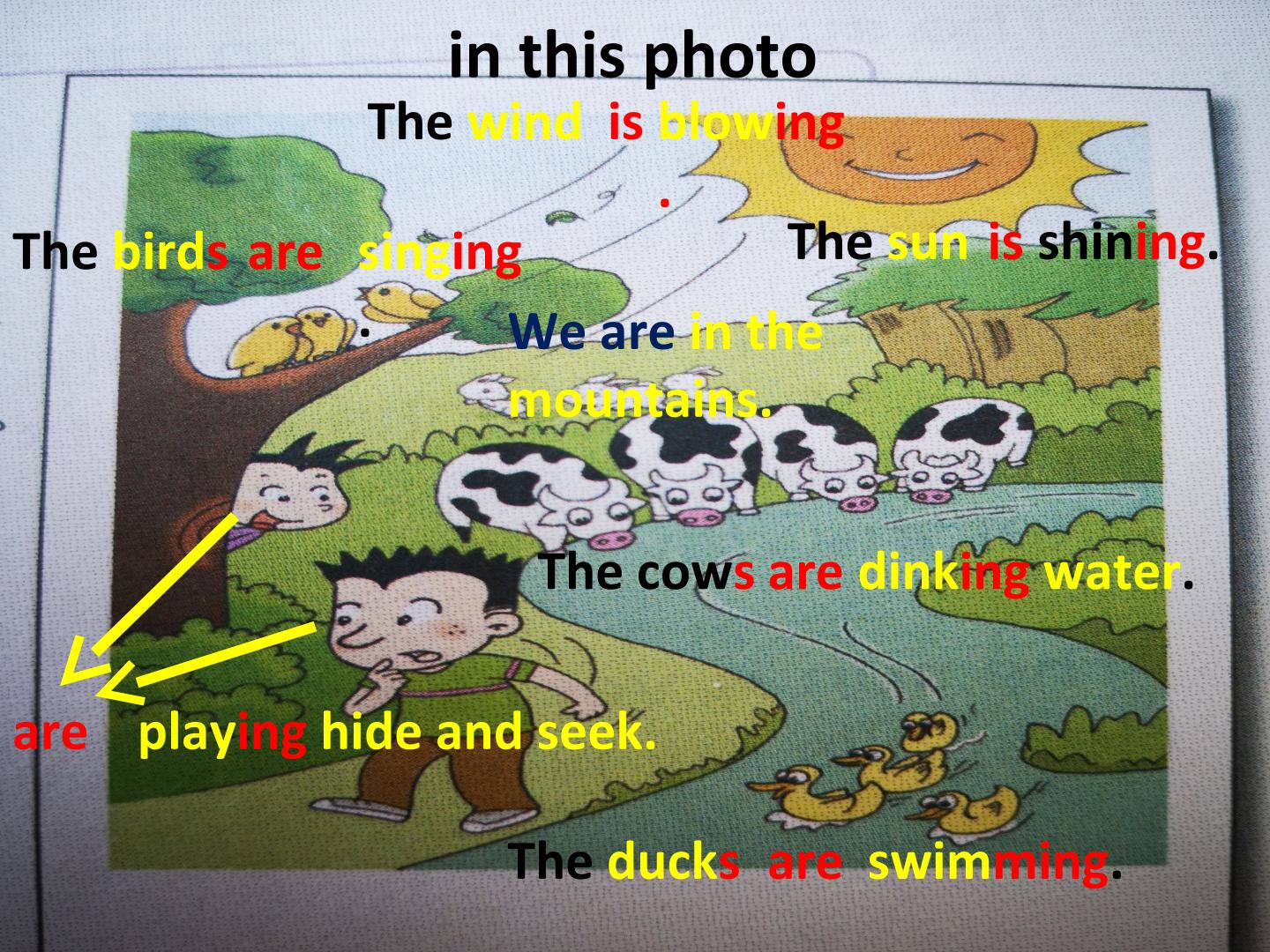 13.jpg