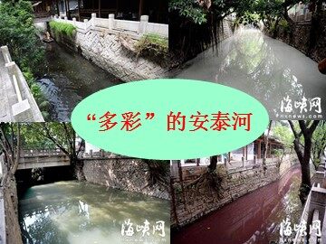 初中思品－杨秀珍－依法参与政治生活