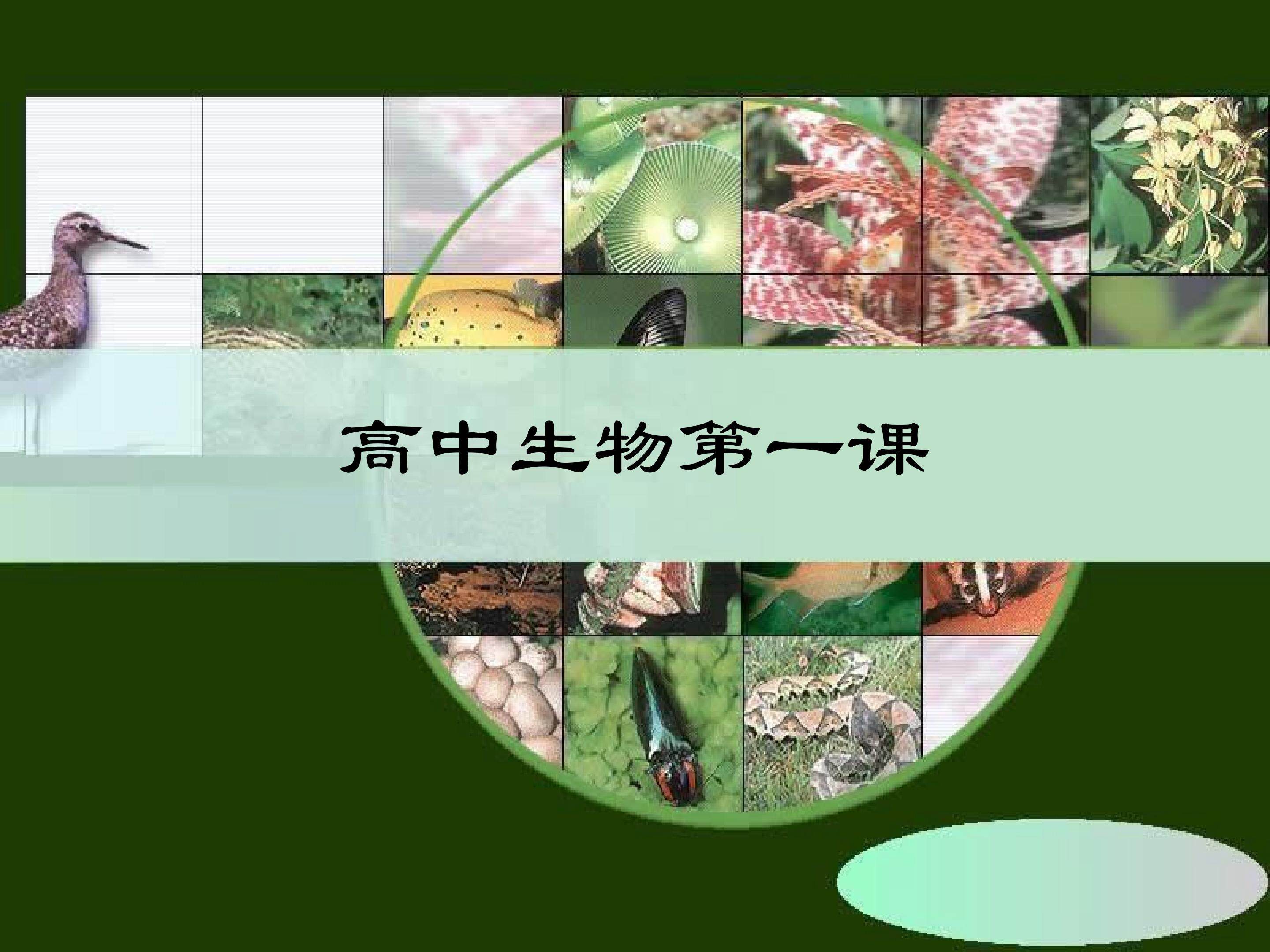 高中生物第一课