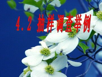 4.2 抽样调查举例