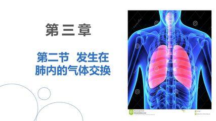 发生在肺内的气体交换