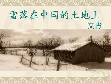 雪落在中国的土地上_课件1