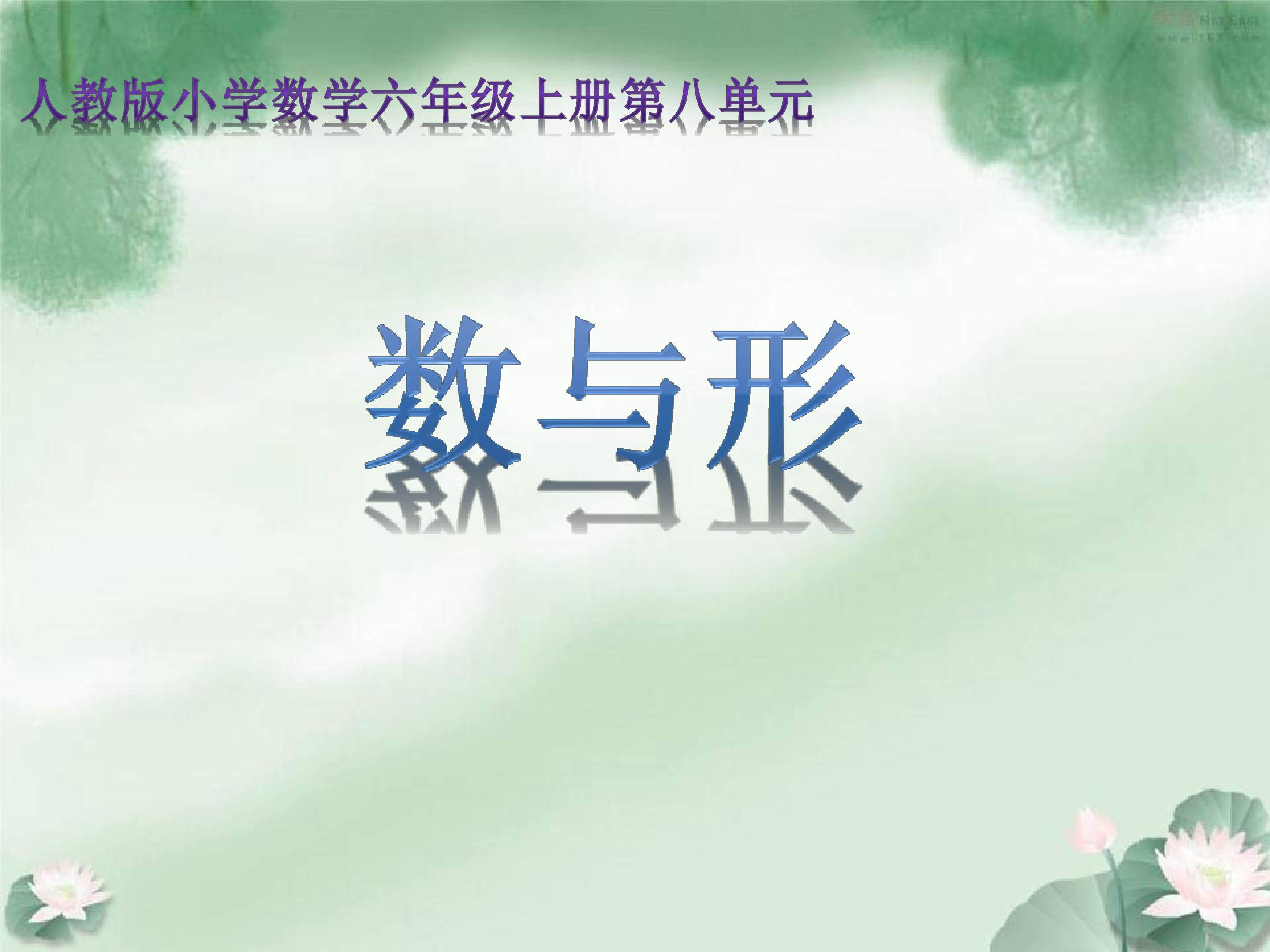 数与形