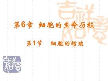 生物高中必修1第六章第一节课件11