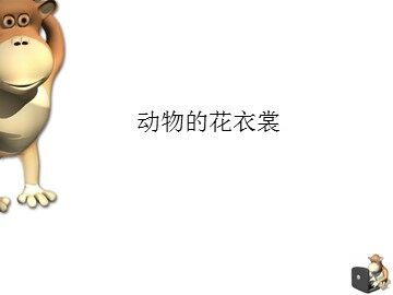 动物的花衣裳_课件1