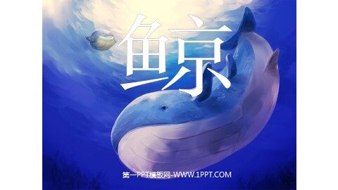 9 鲸