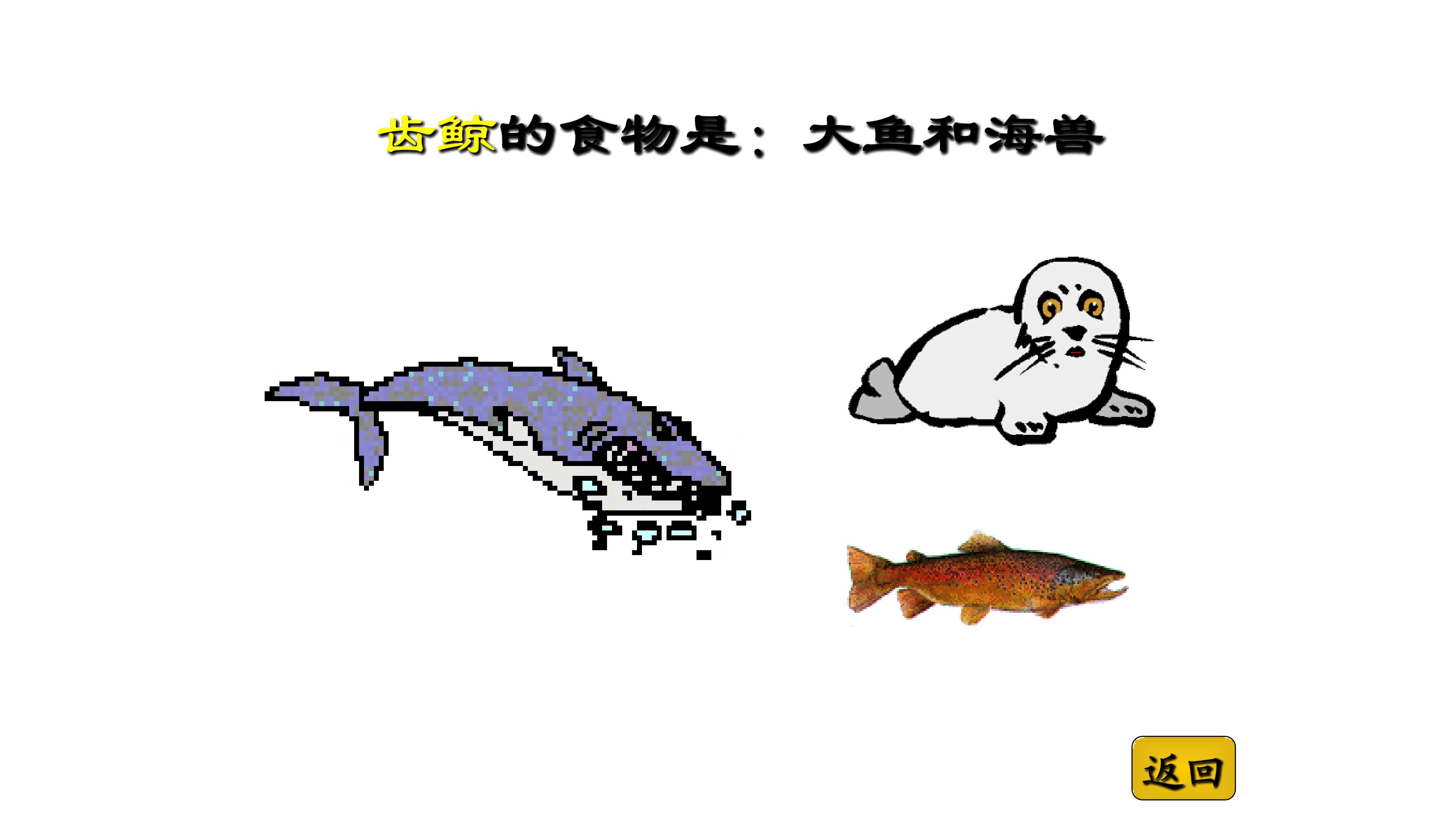 39.jpg