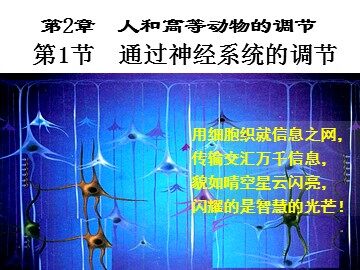 与生物学有关的职业 神经外科医生