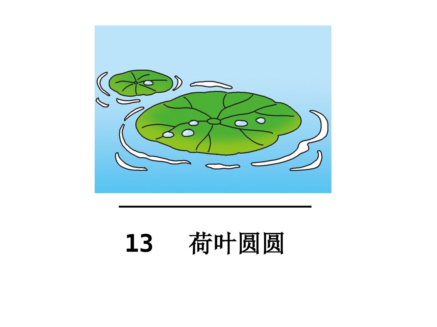 13 荷叶圆圆