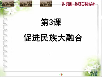 第3课  促进民族大融合