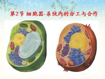科学家的故事  细胞世界探微三例