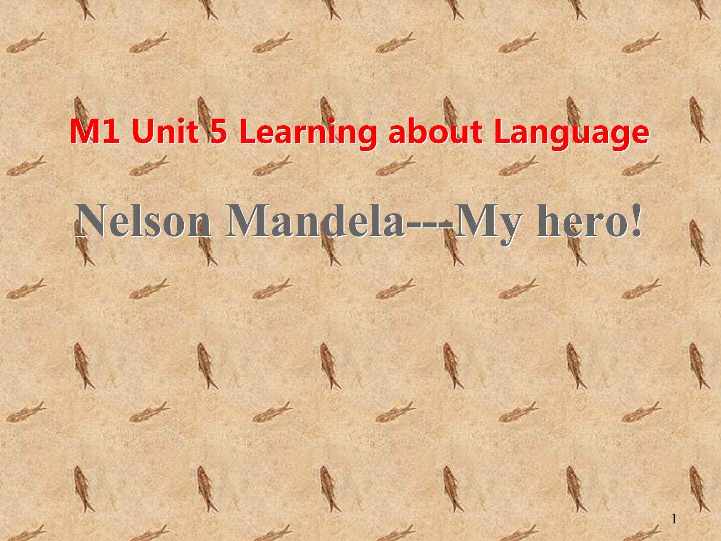 Nelson Mandela---My hero!