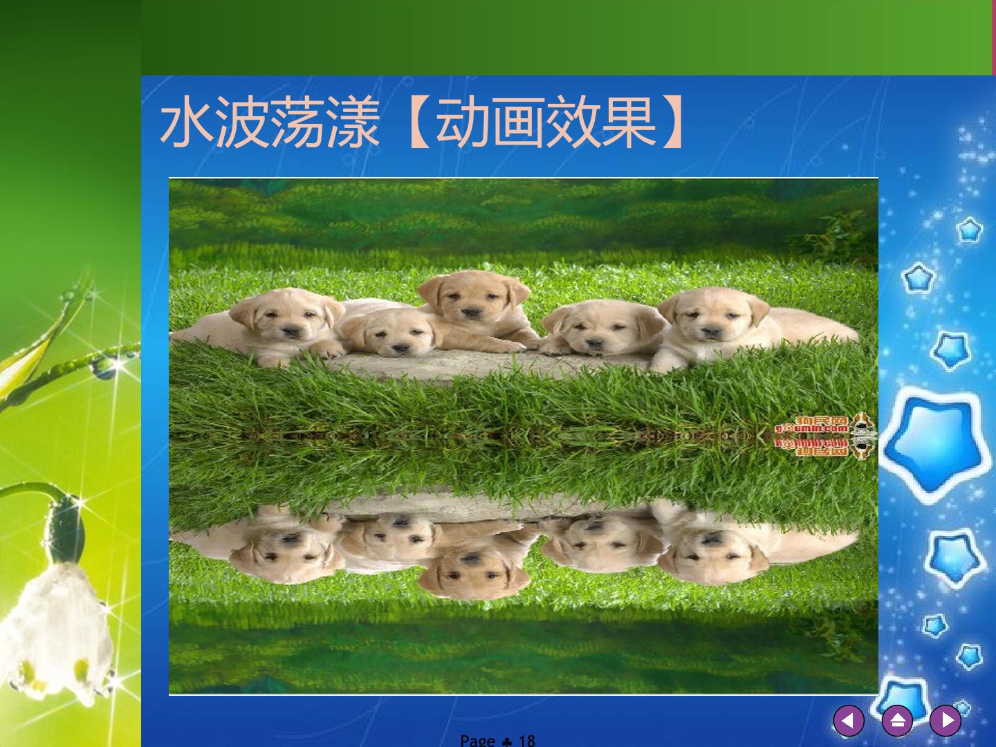 18.jpg