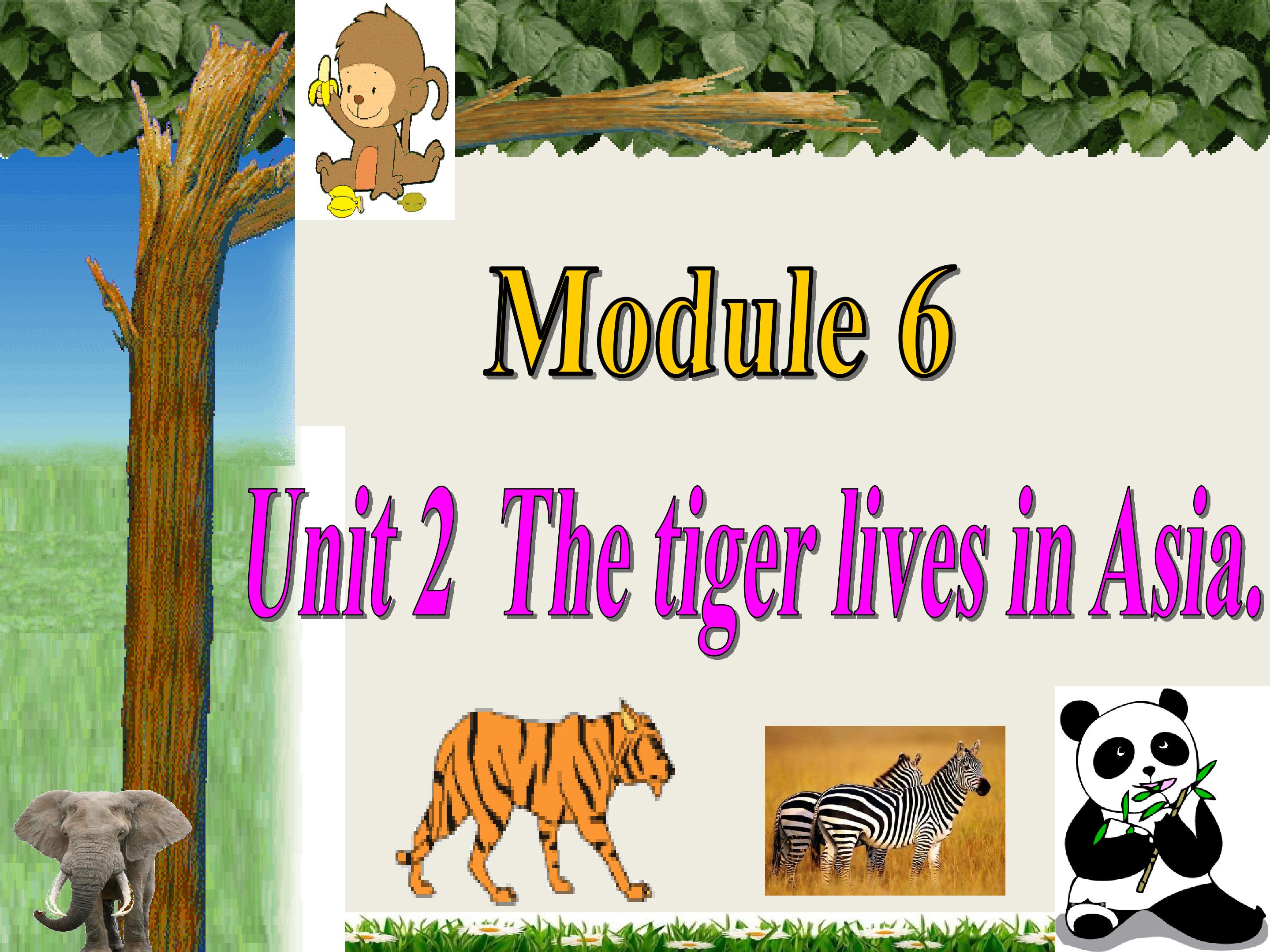 Module 6 Unit 2 the tiger lives in Asia