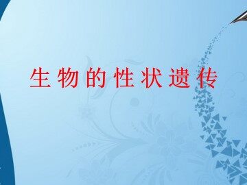 生物的性状遗传_课件1