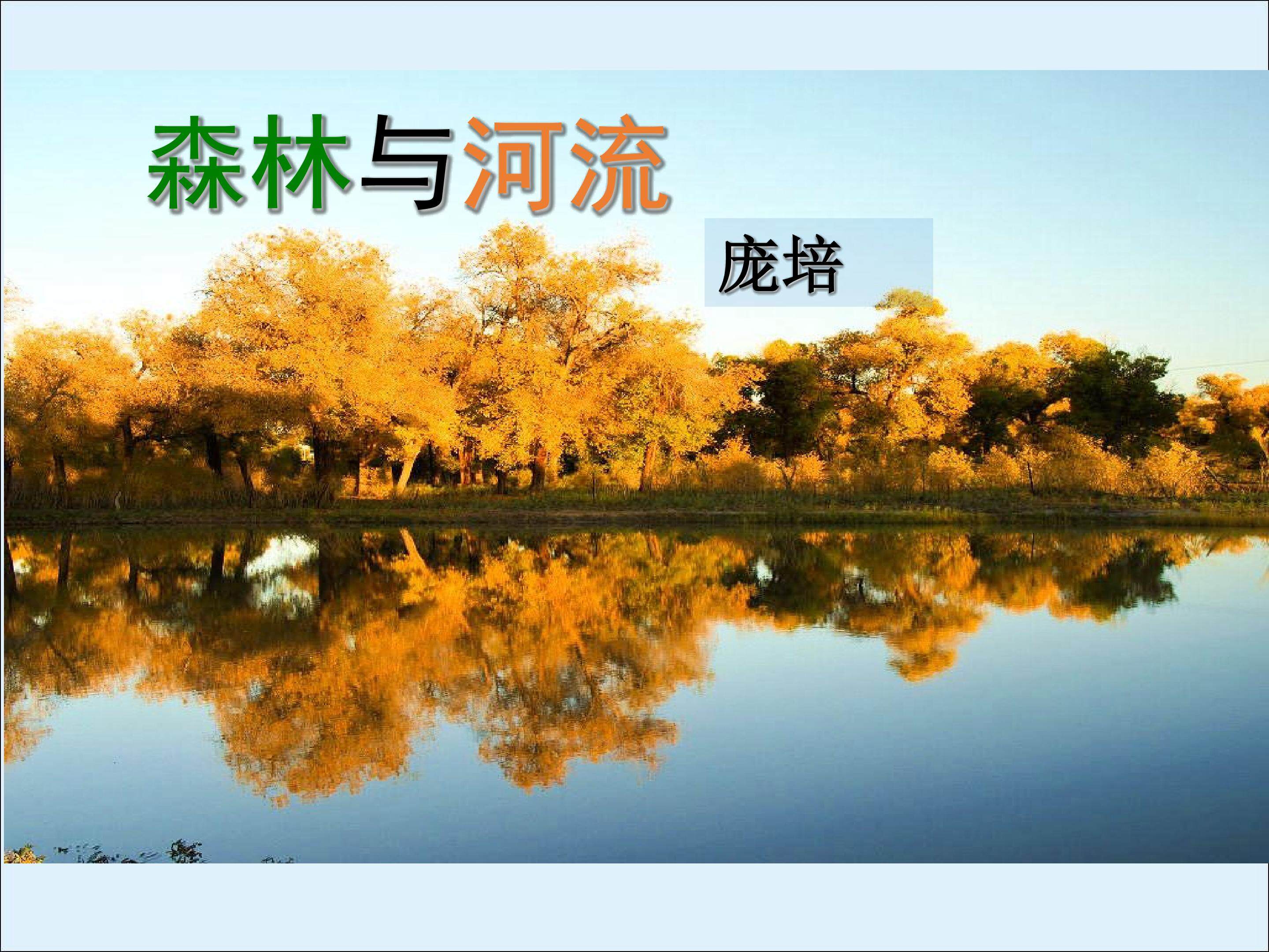 森林与河流_课件1