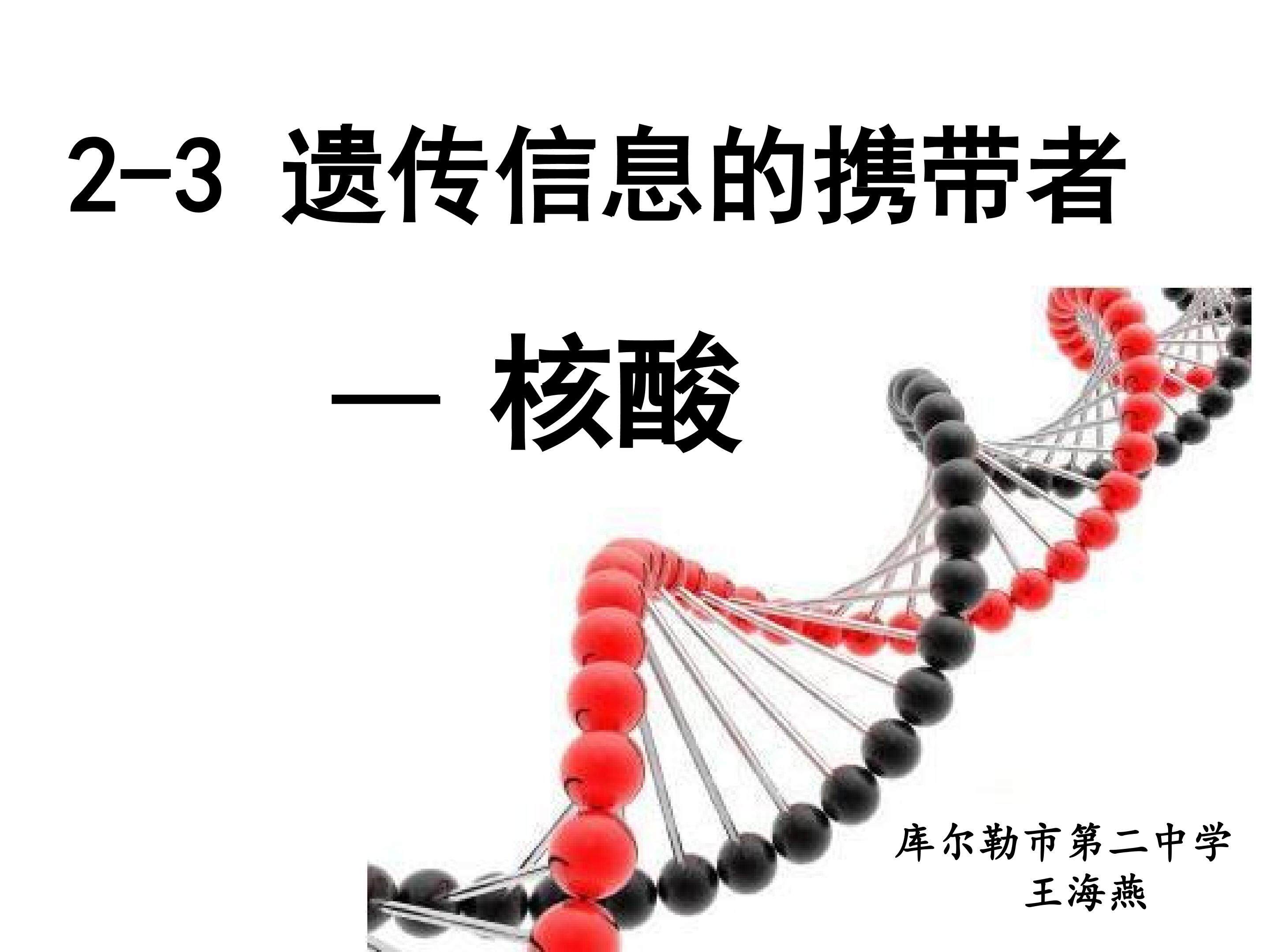 核酸的结构和功能教学课件