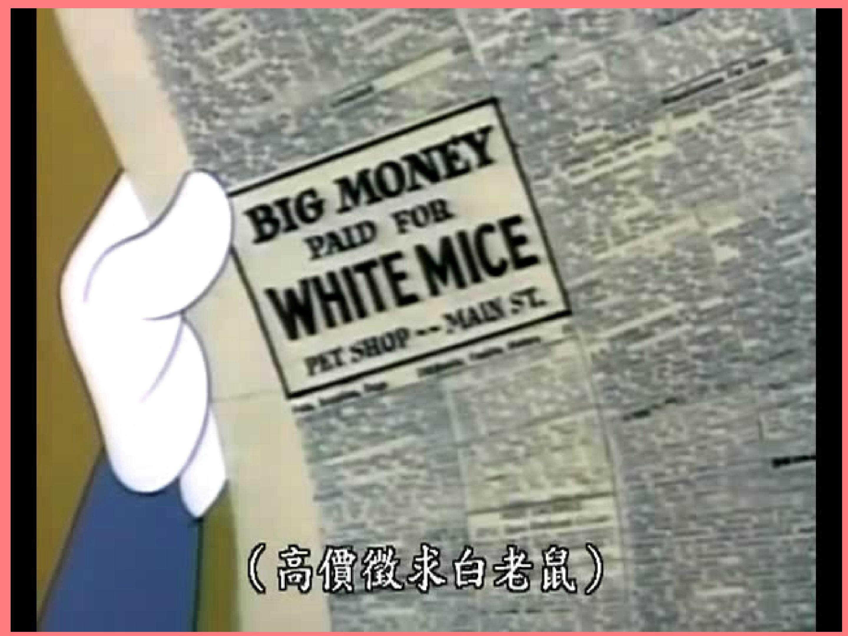 假如我是巨人