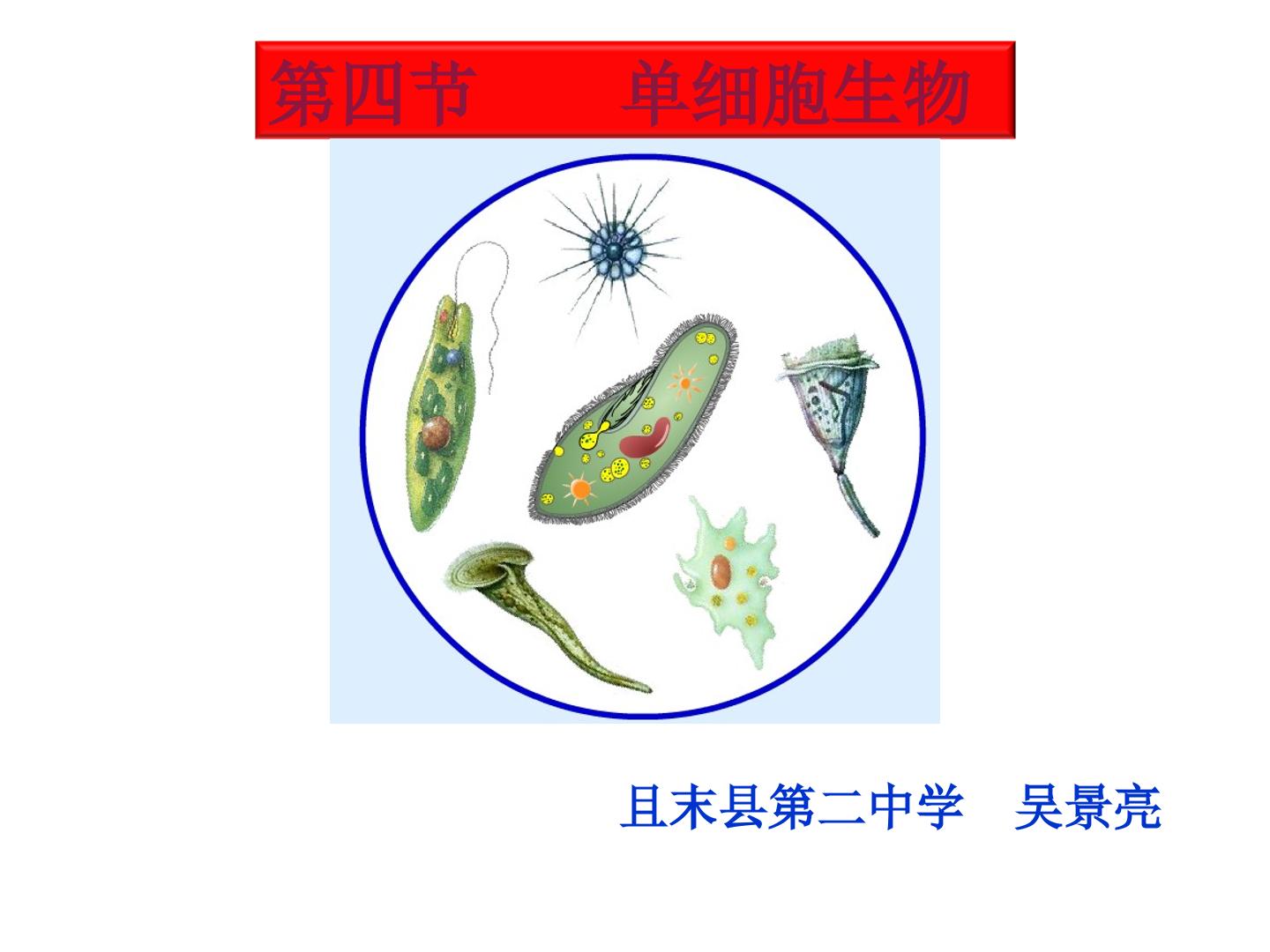 单细胞生物（示范课例）