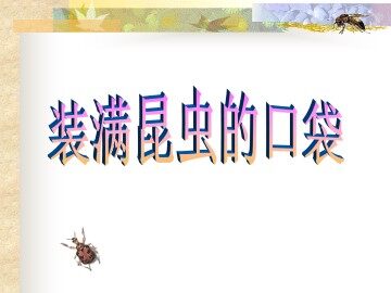 装满昆虫的口袋_课件1