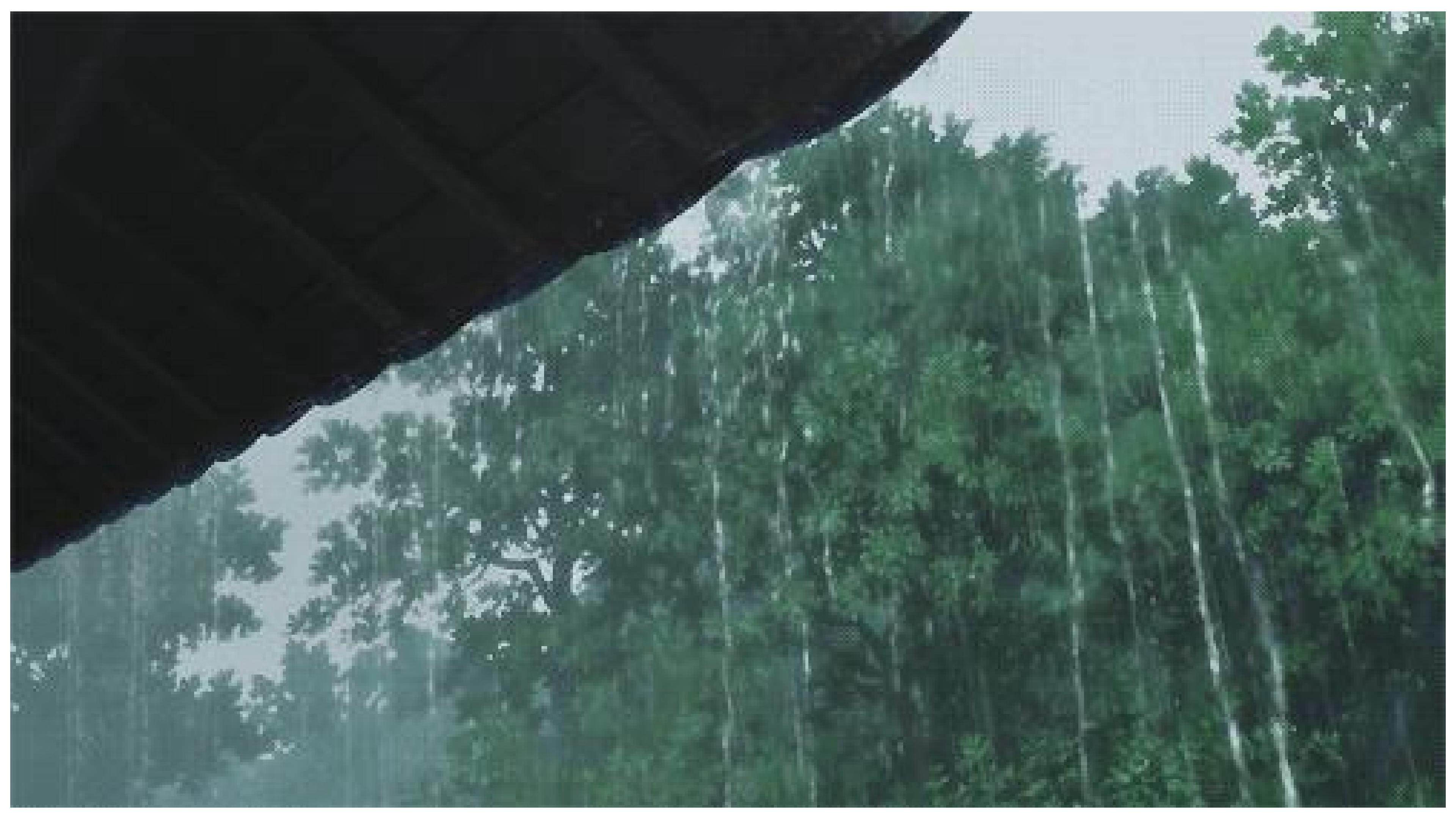 雨点