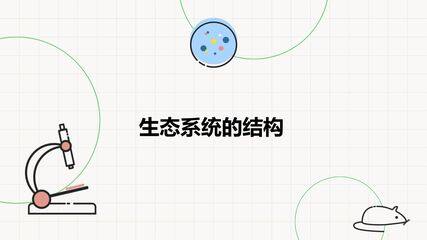 生态系统的结构