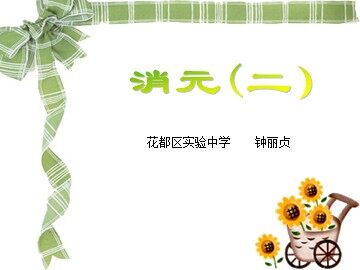 二元一次方程组代入消元2（平行班）