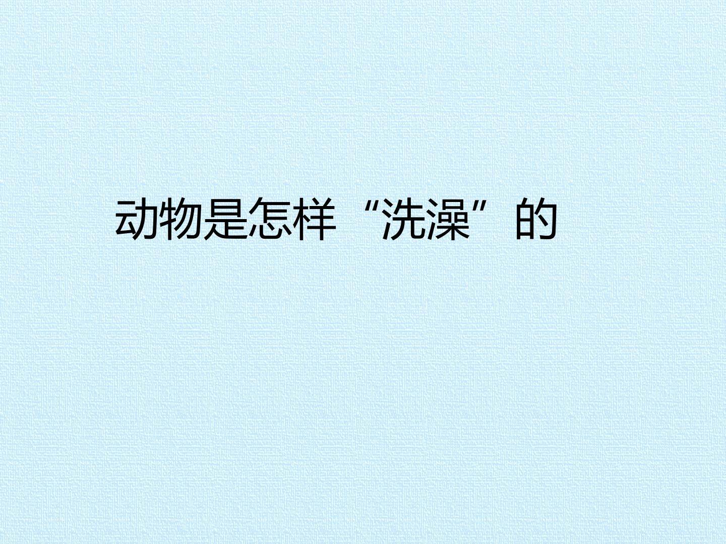 动物是怎样“洗澡”的_课件1