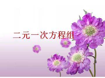 二元一次方程组_课件2