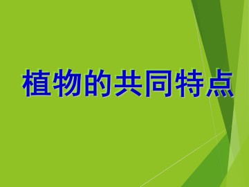 植物有哪些相同特点_课件1