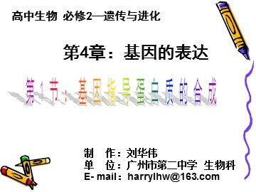 生物高中必修2第四章第一节课件1