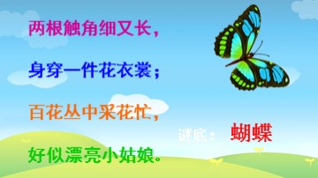第20课  美丽的植物和动物