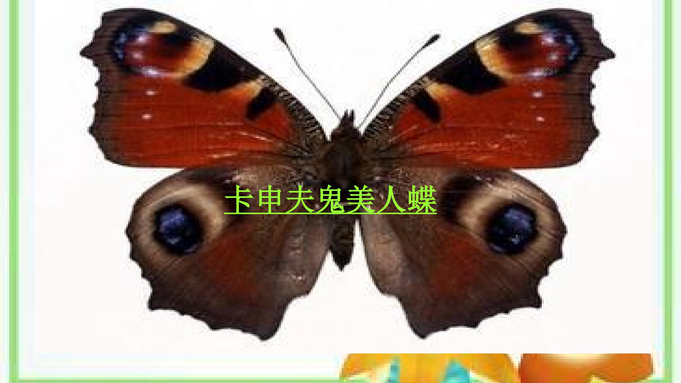18.jpg