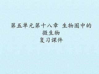 第五单元第十八章 生物圈中的微生物 复习课件
