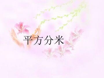 平方分米_课件1